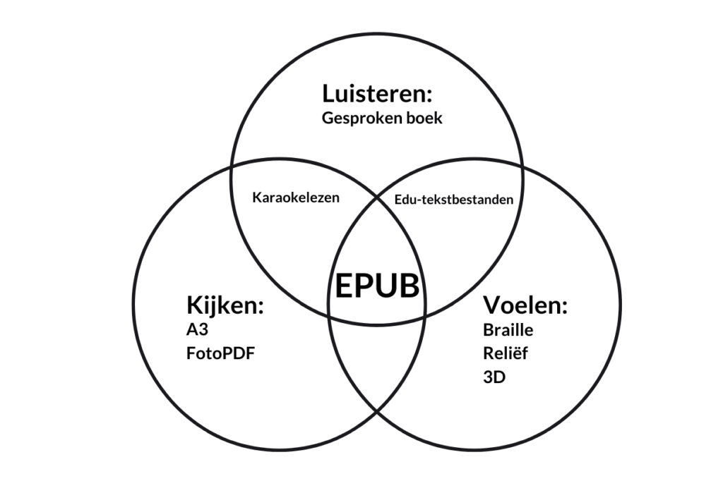 Kijken: vergrotingen (print en digitaal) Voelen: braille, reliëf, 3D Luisteren: gesproken combinaties - tekstbestanden (TNS en braille), - karaokelezen (tekst en audio synchroon) - Waar alles in samenkomt: EPUB3